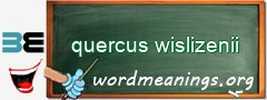 WordMeaning blackboard for quercus wislizenii
